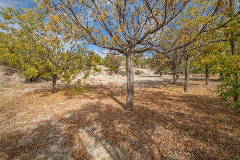 Foto fb379cd9-268a-41f3-b9e5-ede7d450add2. Xalet amb aparcament a Alfacar