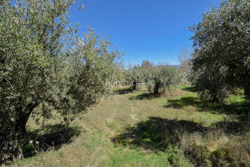 Foto 586e087b-1896-4126-91d0-840317395e62. Terrain résidentiel dans Villa de Otura