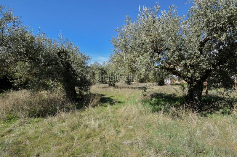 Foto 621681e1-ca14-49eb-bdcb-309af4494665. Terrain résidentiel dans Villa de Otura