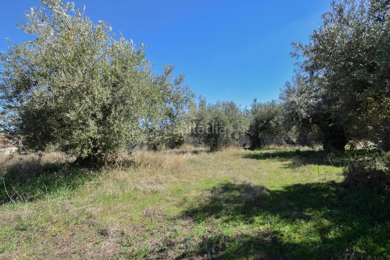 Foto 76955526-bbde-4a73-958f-132609bb2be8. Terrain résidentiel dans Villa de Otura