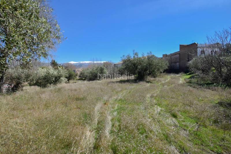 Foto a40cbc18-491d-489f-8cc8-738d321254b2. Terrain résidentiel dans Villa de Otura