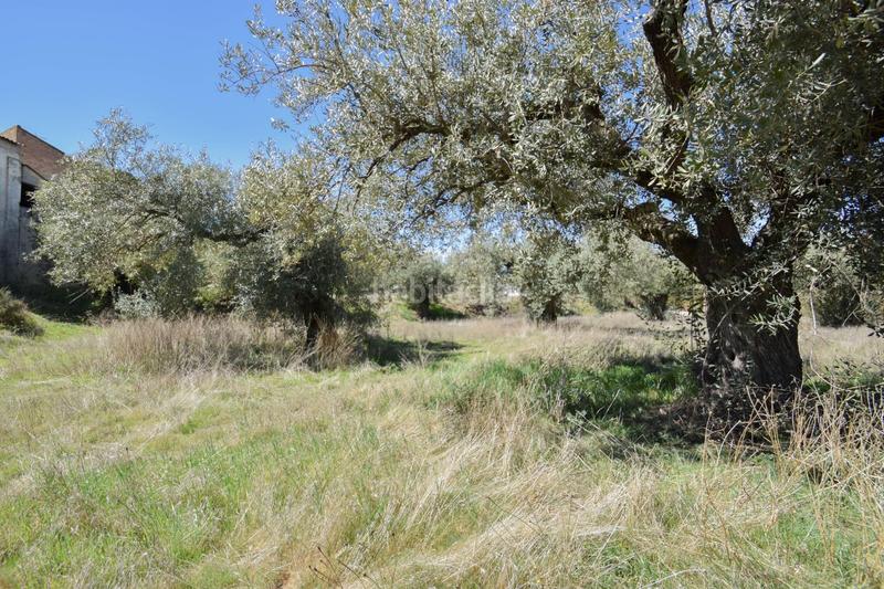 Foto f383e194-e144-413c-a5e4-66c905c56c08. Terrain résidentiel dans Villa de Otura