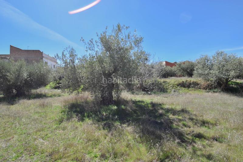 Foto fc6f9ca0-cc76-45b8-aaf6-2d0f450418b2. Terrain résidentiel dans Villa de Otura