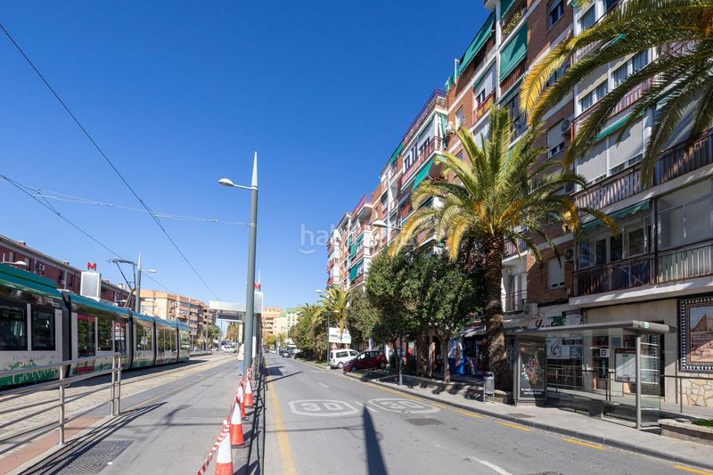Foto deb2c1eb-9d5f-4bbd-b52f-1244db7f3f7e. Pis a Pajaritos Granada