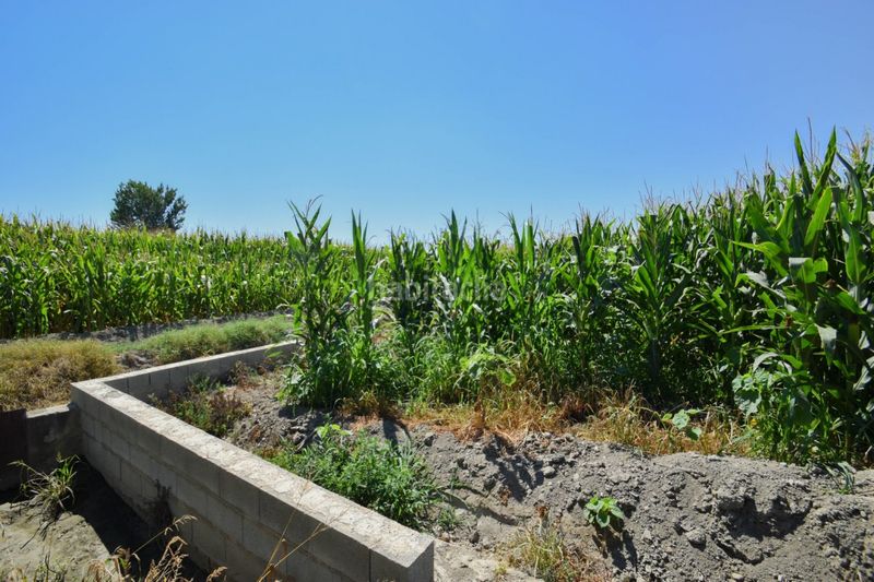 Foto a62d2f8c-f6e8-4e1a-b037-8225f368ae94. Finca rústica a Belicena Vegas del Genil