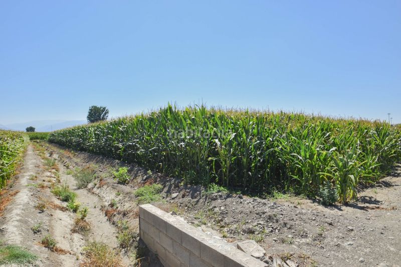 Foto b0e6e9d1-eb0d-4111-9be7-6bbc6d003167. Finca rústica a Belicena Vegas del Genil