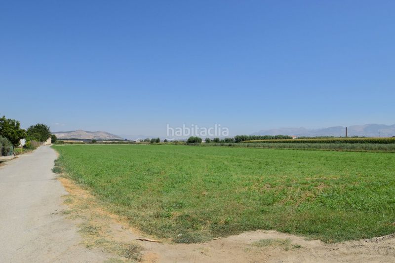 Foto 38626474-ff1c-4da8-8b87-0d70b3ed27b1. Finca rústica a Belicena Vegas del Genil