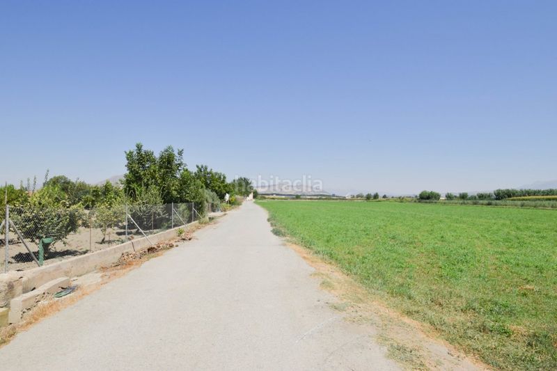 Foto b2fb887e-451f-4680-b051-a5248494fc8c. Finca rústica a Belicena Vegas del Genil