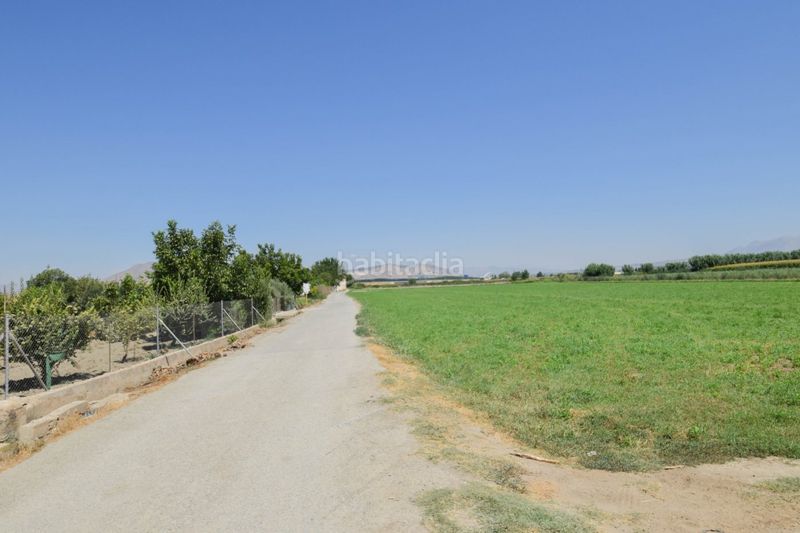 Foto b592dfbf-ad90-4712-927b-eda12e059abc. Finca rústica a Belicena Vegas del Genil
