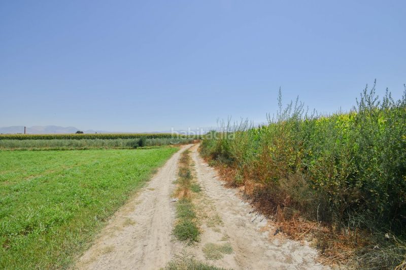 Foto f93f0346-74bd-4b00-ac06-b55140d6524a. Finca rústica a Belicena Vegas del Genil