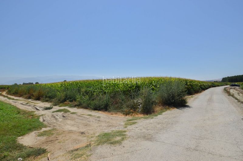 Foto fdabdef7-64f9-4f0a-a845-4036528000e6. Finca rústica a Belicena Vegas del Genil