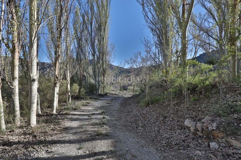 Foto 3f9c4c03-950b-40b0-b957-a170de629b0a. Masía magnífico cortijo en la sierra de durcal, acceso por niguelas en Dúrcal