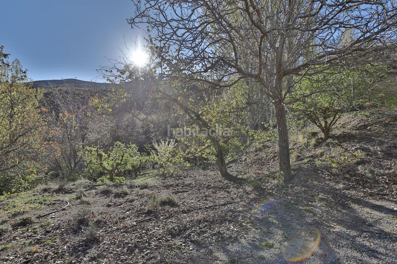 Foto 41b3b9b5-4661-43ed-aba2-a88353511864. Masía magnífico cortijo en la sierra de durcal, acceso por niguelas en Dúrcal