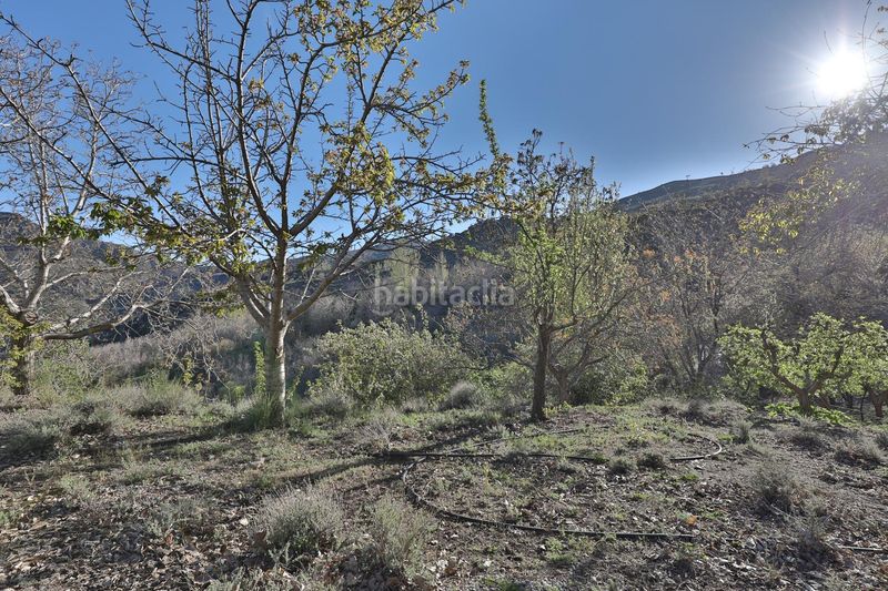Foto 5fdd8641-26cf-40c7-9637-05b2bc2e3690. Masía magnífico cortijo en la sierra de durcal, acceso por niguelas en Dúrcal