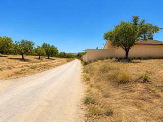 Rural plot  Camino de la malahá a padul. Magnifica finca rústica de 1.300 metros en el arroyo de padul