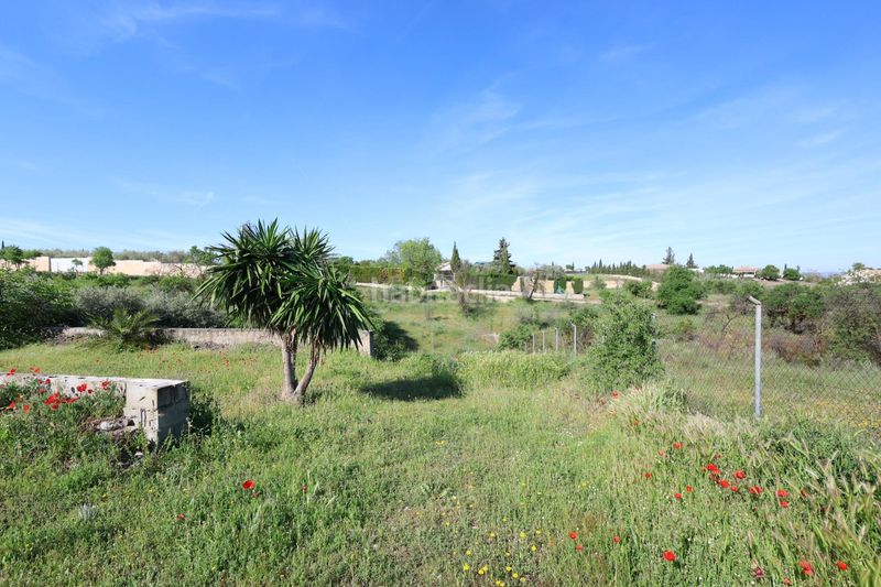 Foto 5693aa81-f586-48cb-887c-e203f00c5040. Casa amb aparcament a Moraleda de Zafayona