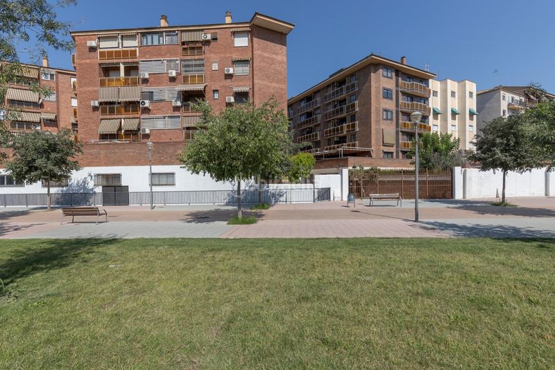Foto c5c13355-c877-4826-afea-aa36a346e8eb. Pis a Pajaritos Granada
