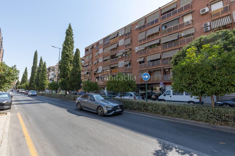 Foto d2f82f56-609c-4e9b-bfa2-aad75cfc05ad. Pis a Pajaritos Granada