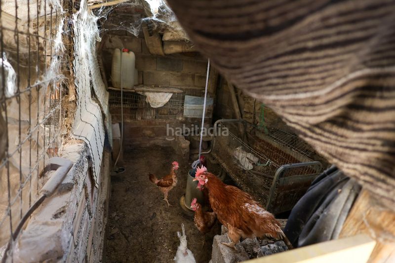 Foto e3ea2d48-6f68-46ba-937d-8f77268c7e3e. Casa a Ayuntamiento Alhendín
