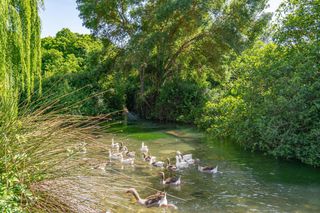 Casa  Calle nacimiento (rf). Sueñas con vivir en plena naturaleza, rodeado de tranquilidad y