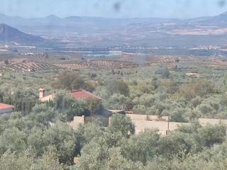 Casa en Cogollos de la Vega. Inmobiliaria garca delgado  vende fabuloso doble negocio en cog
