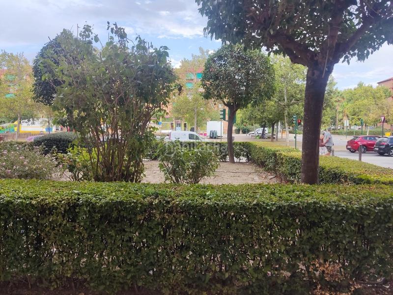 Foto 1de7cf45-96de-47a1-a7e4-dce4b1ffae2e. Rent business premise in Almanjáyar Granada