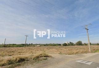 Finca rústica  De balafia o seca sant de pere. Suelo en venta en la partida de balafia o seca de sant pere