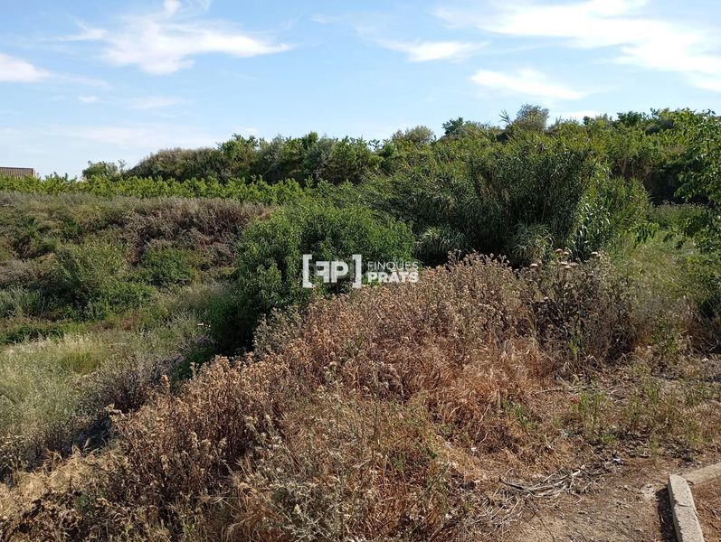 Foto e8245f01-e0dd-461f-b57a-7c712b8485f1. Finca rústica a Alfarràs