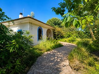 Masia  Carretera a palma del río. Finca junto a córdoba, un oasis de naturaleza!!!!