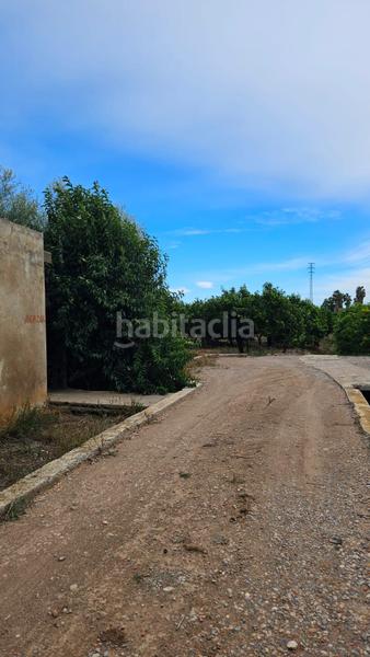 Foto 15a4c1bb-1831-4e6c-b779-7ae2eb3aad98. Finca rústica huerto joven en producción con caseta en Burriana