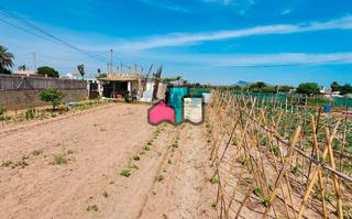 Finca rústica a Entrada del piló 19. Terreno con casa de aperos