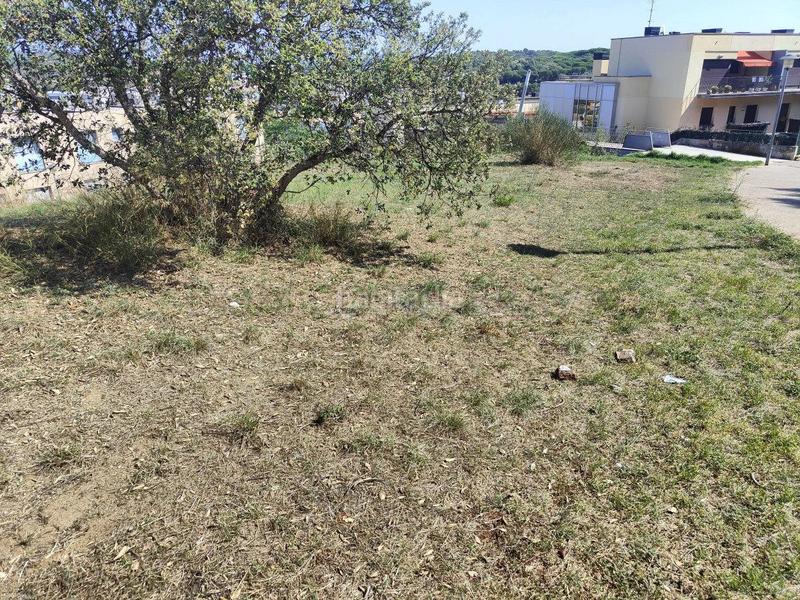 Foto f2f08c2a-cabe-444a-add1-6e9148fcfae4. Terreny residencial a Sant Joan - Vilarromà Palamós