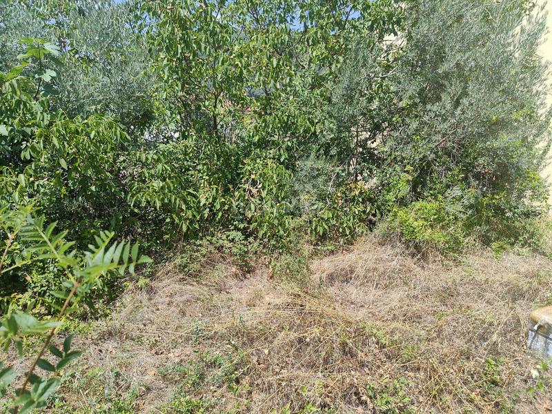 Foto f28c8ea1-cb3e-4562-973e-0cb66dd1d0b2. Terrain résidentiel dans Olot