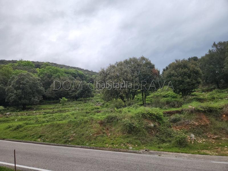 Foto 36c33aa0-0b48-4279-9607-31cd318e08ec. Terreno residencial suelo rustico en Camprodon