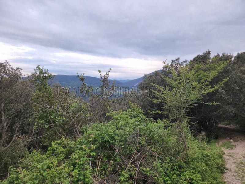 Foto 5e4415a8-ddff-4d65-8201-6b127d4e231a. Terreno residencial suelo rustico en Camprodon