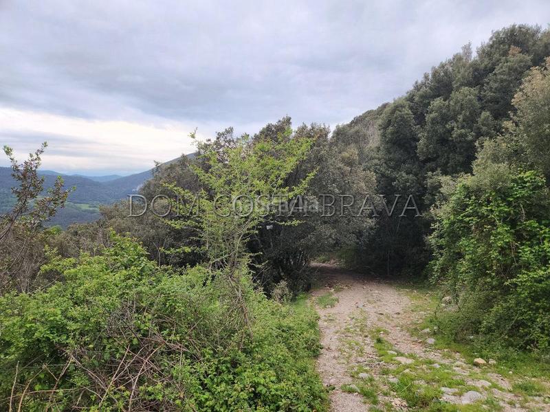 Foto 7e81a38f-2713-41d4-be23-658e0384b810. Terreno residencial suelo rustico en Camprodon