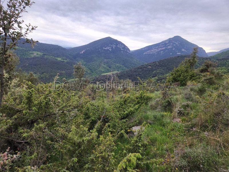 Foto 43156a2a-bd99-49a8-b95e-664ca18c4952. Finca rústica a Montagut i Oix