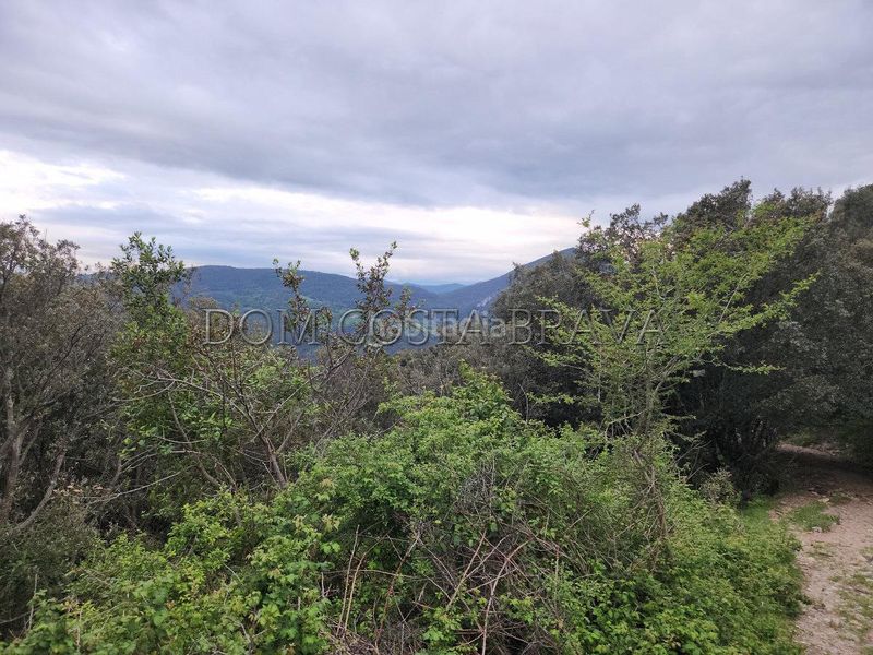 Foto 5e4415a8-ddff-4d65-8201-6b127d4e231a. Finca rústica a Montagut i Oix
