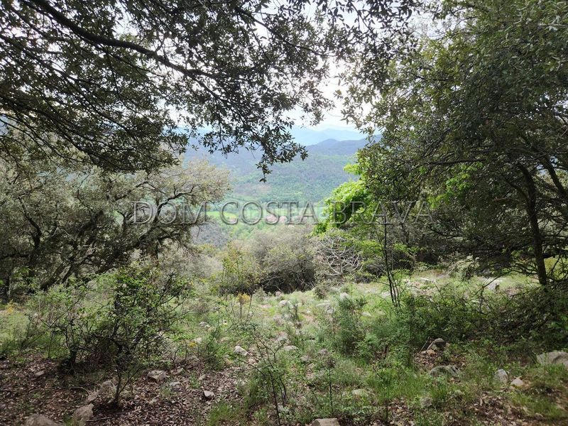 Foto 6ba81ffc-fa6e-43ae-a460-abb40b48ac96. Finca rústica a Montagut i Oix