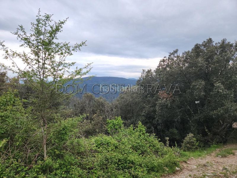 Foto 92059575-687e-45d8-810a-b2ef0451c07e. Finca rústica a Montagut i Oix