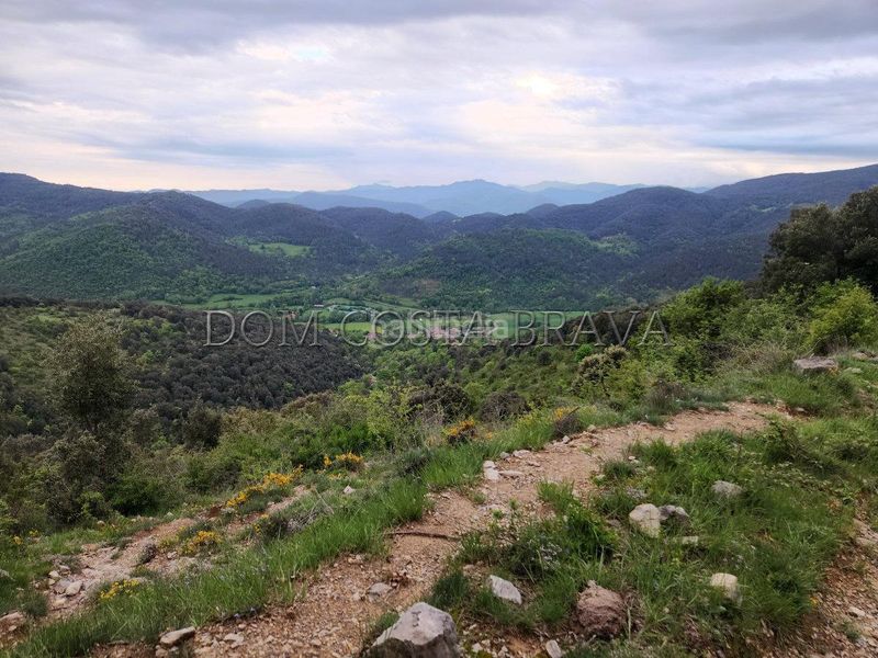 Foto abe29053-0b95-4d82-8510-39d0e5d0056e. Finca rústica a Montagut i Oix