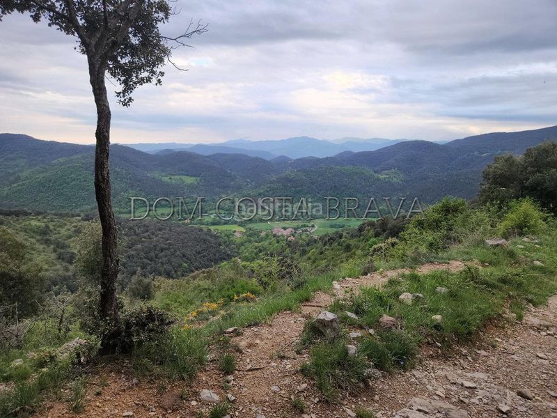 Foto d3422403-8fa0-4f9a-95c9-0994f4d6bb56. Finca rústica a Montagut i Oix