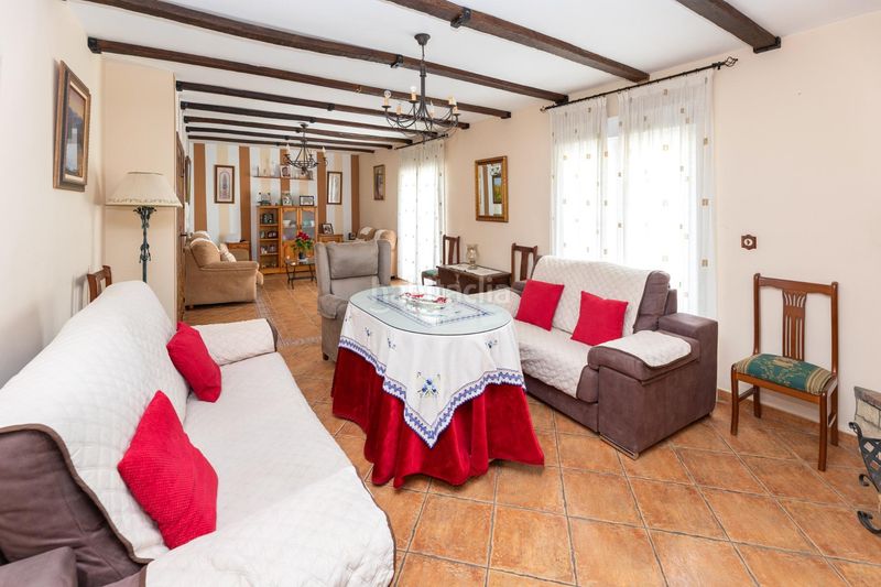 Foto bc4726b4-5dae-423f-9b6c-4f7f301d50f4. Pis a Zagra