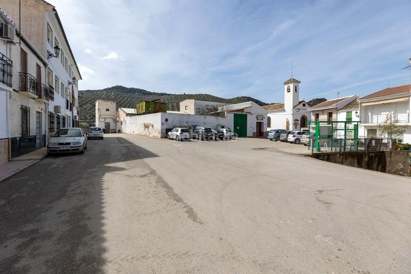 Foto c43ece14-e237-409c-a7db-40f3b7f4b0a1. Pis a Zagra