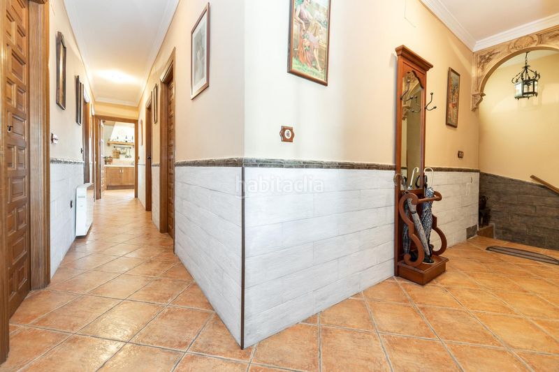 Foto ee7bff86-b5ea-47e6-94ed-a7a7190c8c9e. Pis a Zagra