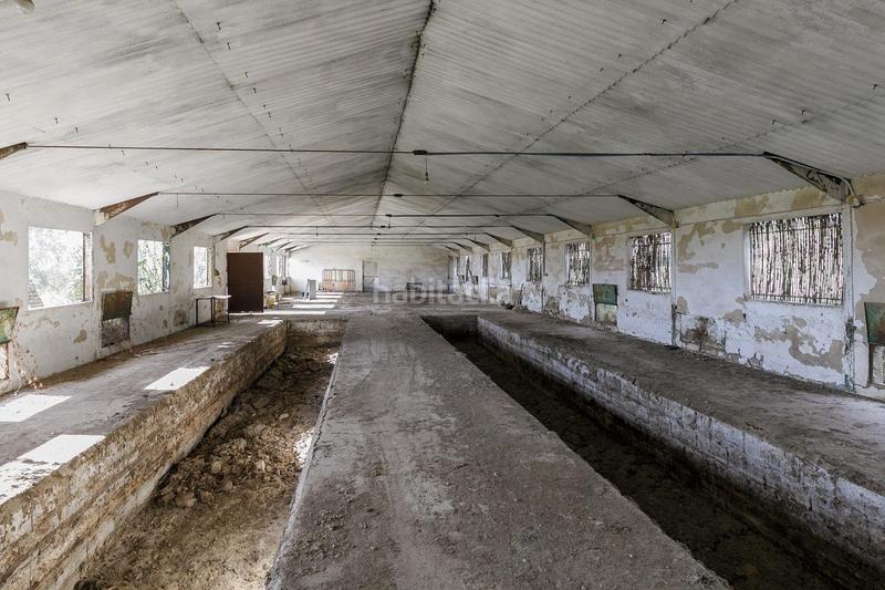 Foto 9a9c6617-88b8-4607-8472-07691fba695c. Wohngrundstück in Atarfe