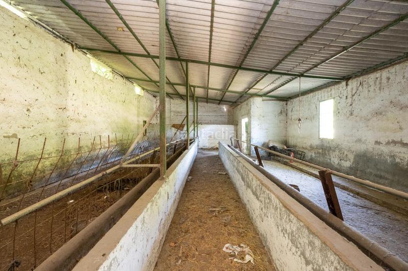 Foto abd56b8d-e313-467b-bc8b-03242915c9dd. Rural plot in Cenes de la Vega