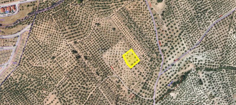 Foto a153c453-294c-412c-821d-07988ddc80e0. Finca rústica a Peligros