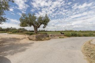 Finca rústica a Plaza polígono industrial 1. Oportunidad única en la zubia! terreno rústico con vistas espect