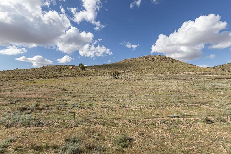 Foto 5f9ff687-4b6f-43c1-b819-cbf4da3dcbf4. Finca rústica a Guadix